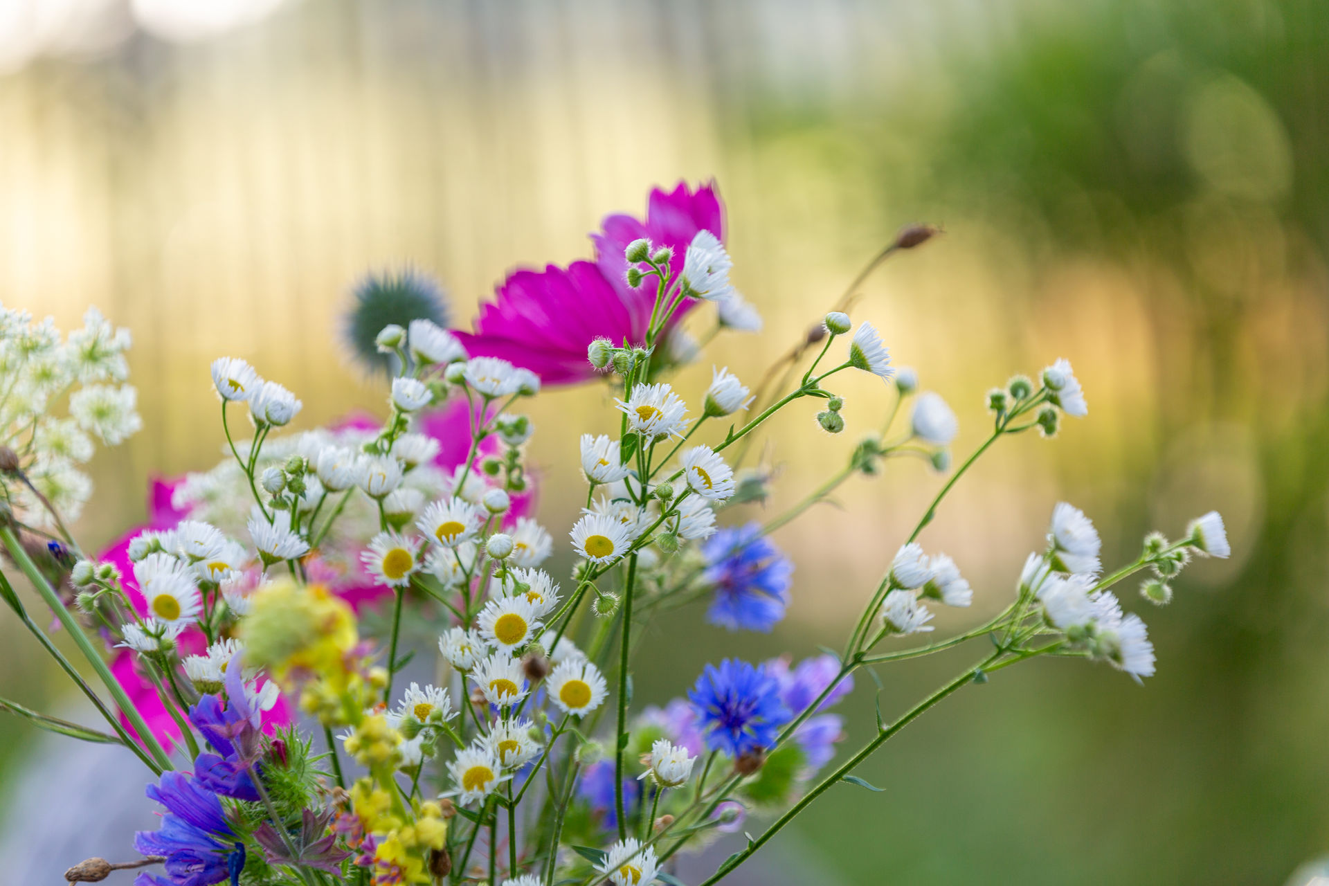 Bloemen ontbijt