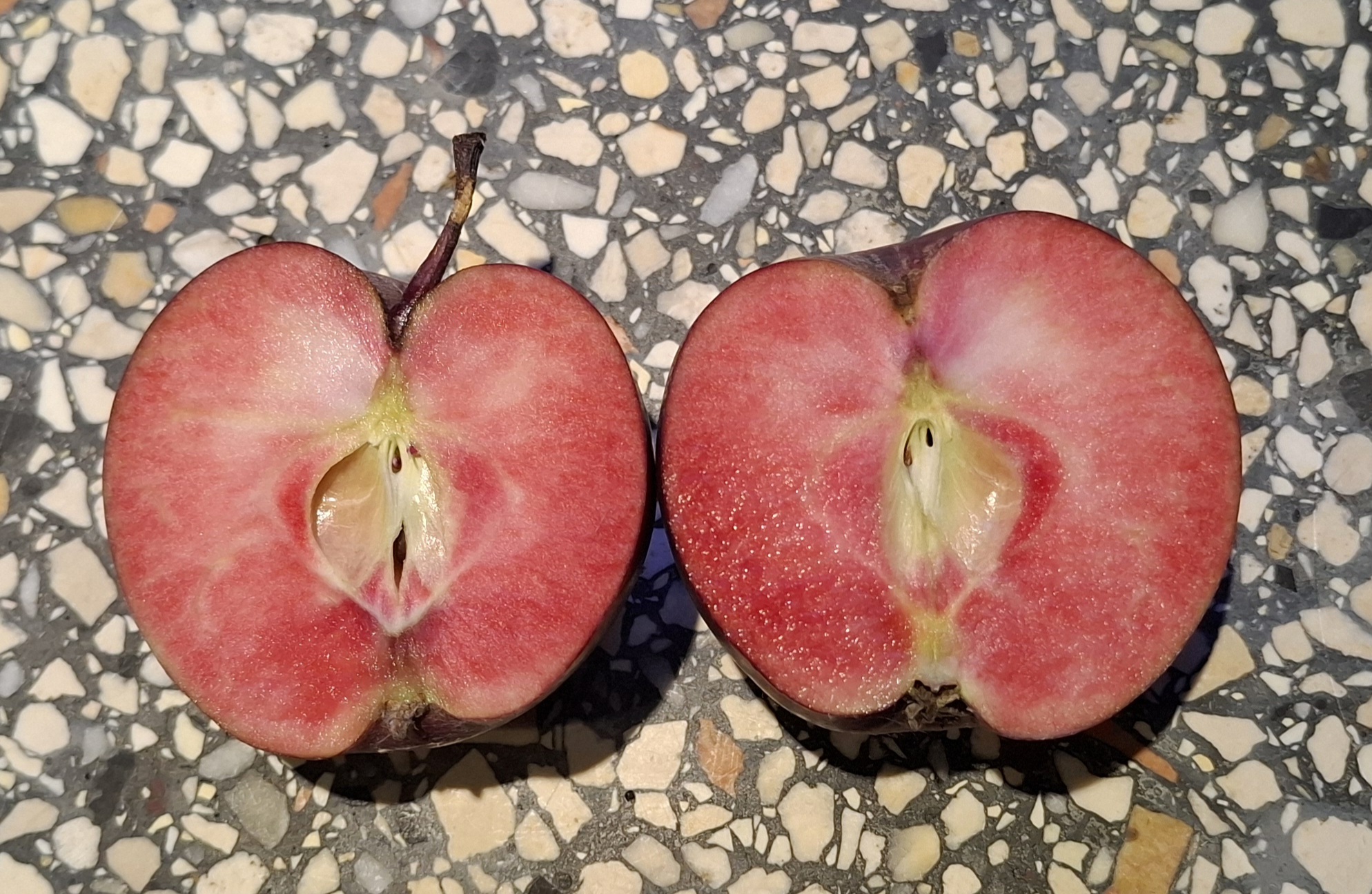 20250803_210019 rood vruchtvlees appel Baya Marisa